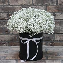 Цветочная композиция из Гипсофила в шляпной коробке в Верхнем Любаже