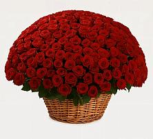 Премиум букет из: Розы в Верхнем Любаже